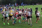 Girls Under-14s 2026 Northern Cross Country Relays, Graves Park, Sheffield. Photo: David T. Hewitson/Sports for All Pics
